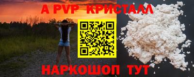 индика Новодвинск