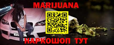 гашик Новозыбков
