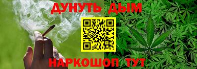 индика Новодвинск