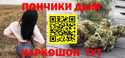 индика Новодвинск