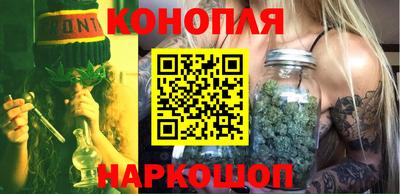 шишки Новокубанск