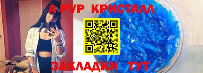 гашик Новозыбков