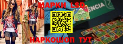 индика Новодвинск
