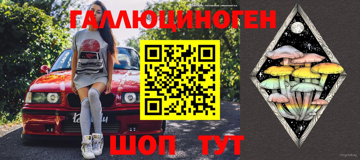 Хабаровск  Псилоцибиновые грибы Cubensis  Вход с VPN  Псилоцибиновые грибы Cubensis 