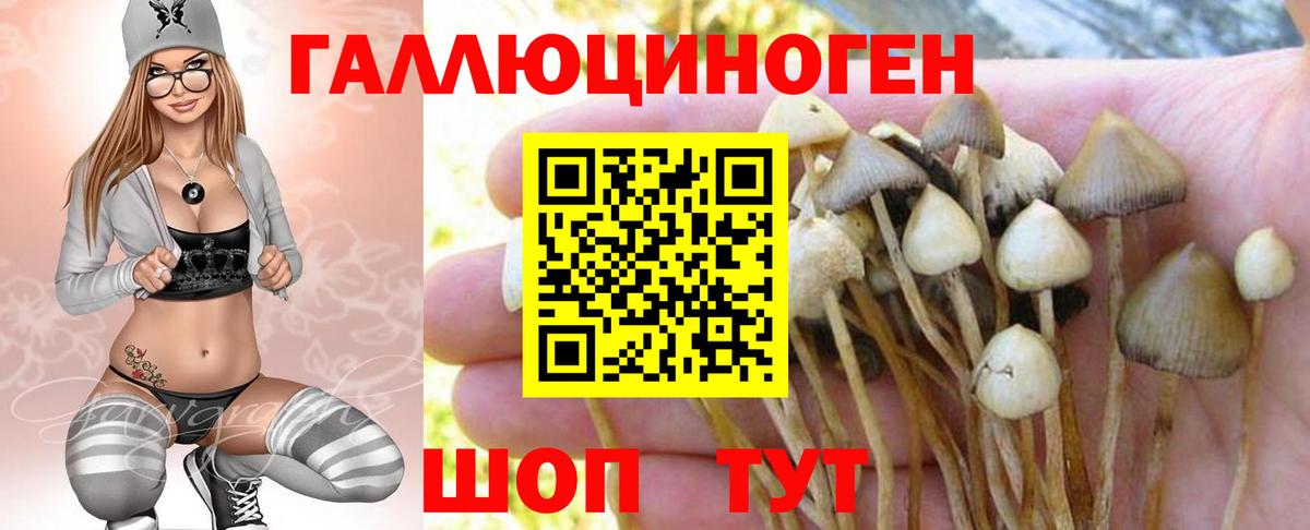 Псилоцибиновые грибы мицелий Хабаровск